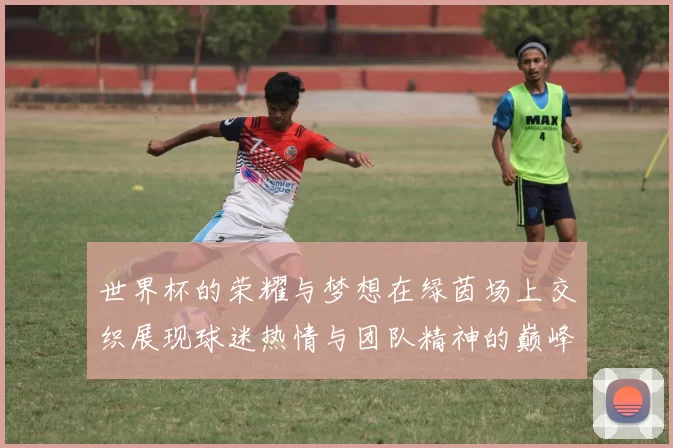 世界杯的荣耀与梦想在绿茵场上交织展现球迷热情与团队精神的巅峰时刻
