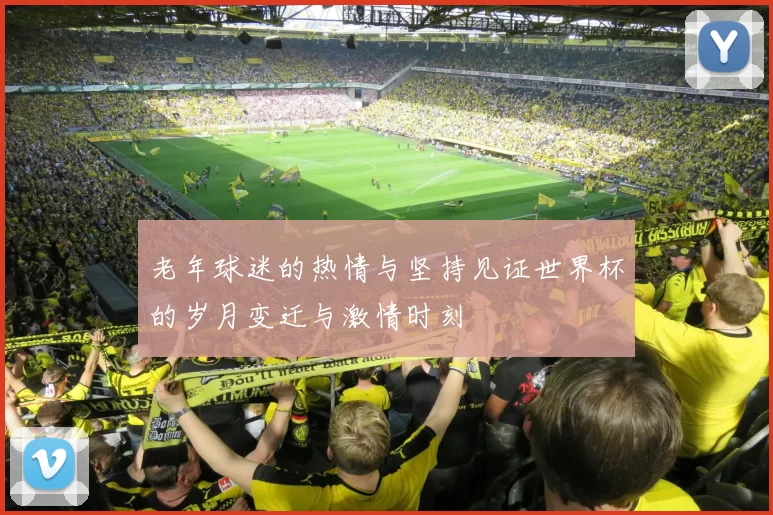 老年球迷的热情与坚持见证世界杯的岁月变迁与激情时刻