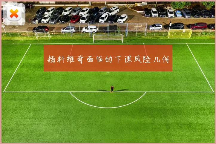 扬科维奇面临的下课风险几何