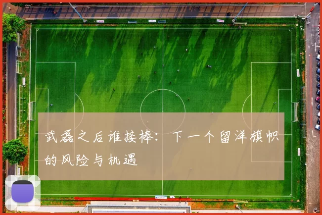 武磊之后谁接棒：下一个留洋旗帜的风险与机遇
